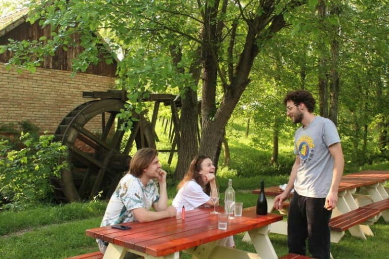 From Belgrade or Novi Sad: Private Wine Tour in Fruska Gora - Who Is This Tour Best Suited For?