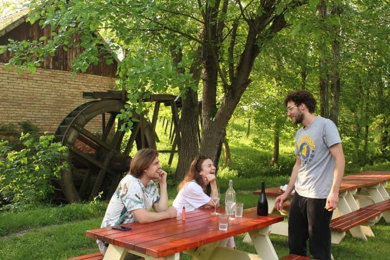 From Belgrade or Novi Sad: Private Wine Tour in Fruska Gora - Who Is This Tour Best Suited For?