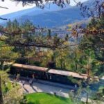 From Belgrade: Zlatibor, Drvengrad, and Gondola Tour - The Sum Up