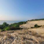 From Biarritz: Dune du Pilat and Arcachon Bay - 100% Private - Transportation & Timing