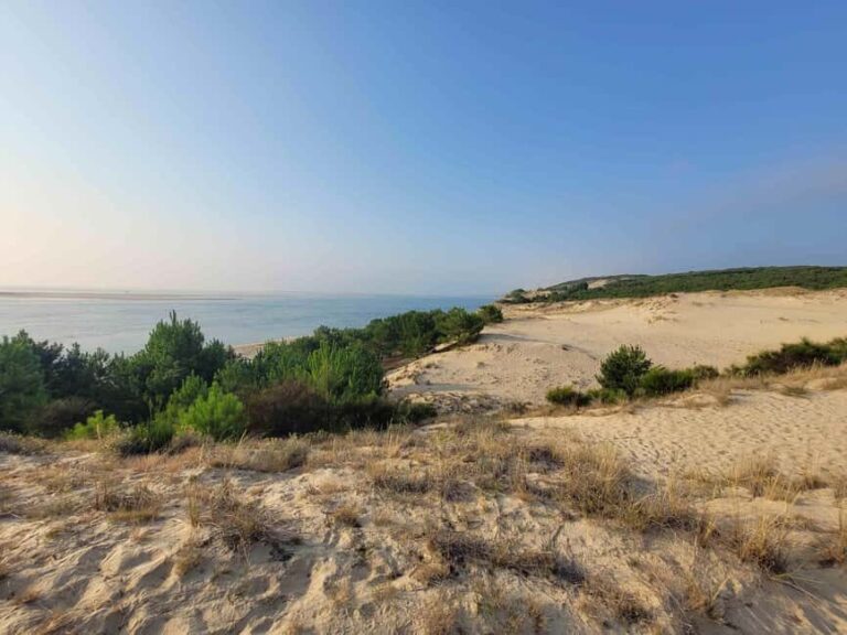 From Biarritz: Dune du Pilat and Arcachon Bay - 100% Private - Transportation & Timing