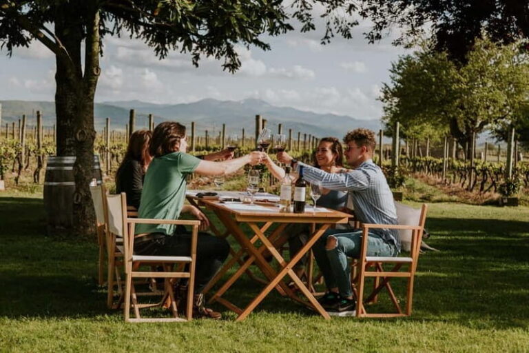 From Bilbao: La Rioja a journey to the vineyards & tradition - The Practicalities—What You Need to Know