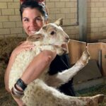 From Bilbao: San Sebastian and Basque Cheese Farm Tour - Practical Details and Value