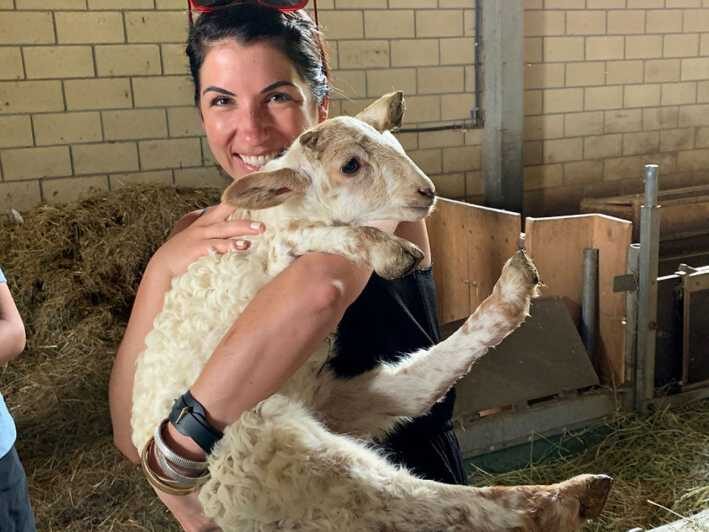 From Bilbao: San Sebastian and Basque Cheese Farm Tour - Practical Details and Value