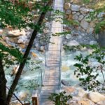 From Bled: Half-Day Crystal River Hike - Value and Practicality