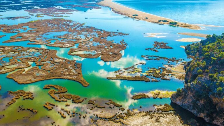 From Bodrum: Dalyan, Turtle Beach, and Mud Baths Day Trip - What the Tour Includes and What to Keep in Mind