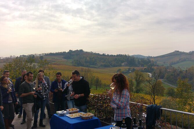 From Bologna: Wine Tasting and Vineyard Tour with the winemaker - Who Will Love This Tour?