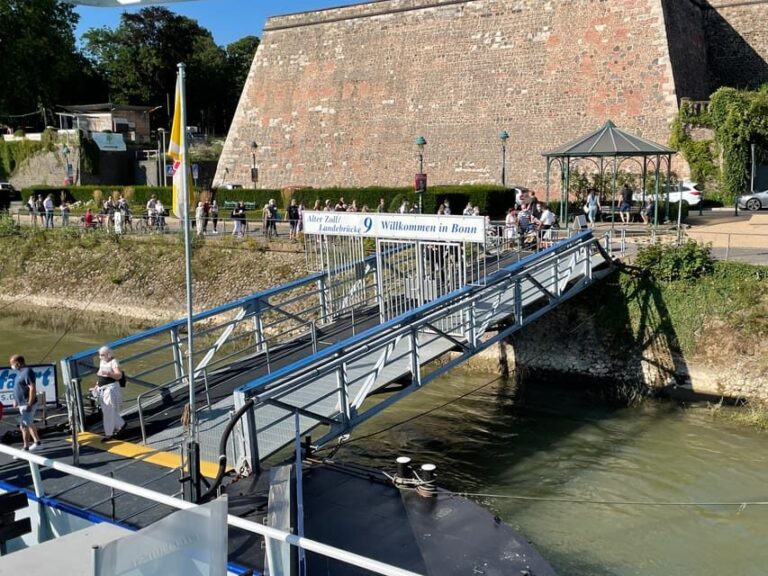 From Bonn: Rhine River to Linz Sightseeing Boat Tour - What It’s Like Onboard