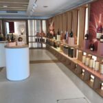 From Bordeaux: Cognac Private Wine Tour - What Makes This Tour Stand Out