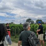 From Bordeaux: Saint-Émilion Half-Day Tour with Wine Tasting - The Itinerary in Detail