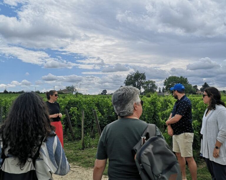 From Bordeaux: Saint-Émilion Half-Day Tour with Wine Tasting - The Itinerary in Detail