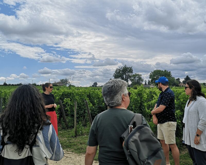 From Bordeaux: Saint-Émilion Half-Day Tour with Wine Tasting - The Itinerary in Detail