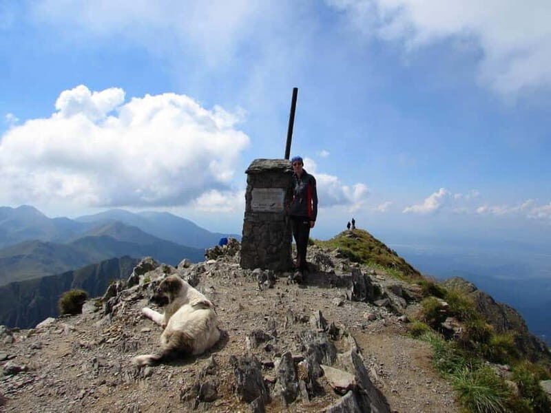 From Braov: 3-Day Fgra Mountains Hiking Adventure - What Makes This Tour Stand Out?