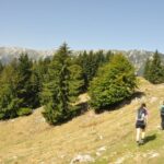 From Brasov: Piatra Craiului National Park Private Day Tour - Practical Aspects & What to Know Before Booking
