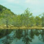 From Brasov: Small-Group Volcanic Lake Day Trip - Analyzing the Value