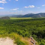 From Bratislava: Wine Tasting & Castles Guided Day Trip - Transportation and Group Experience