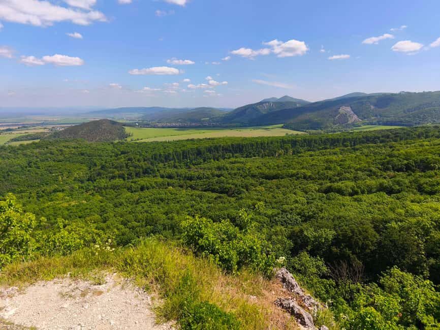 From Bratislava: Wine Tasting & Castles Guided Day Trip - Transportation and Group Experience