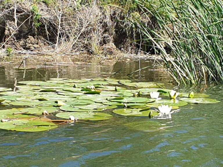 From Bucharest: 2-Day Danube Delta Wonders Small Group Tour - An In-Depth Look at the 2-Day Danube Delta Wonders Tour