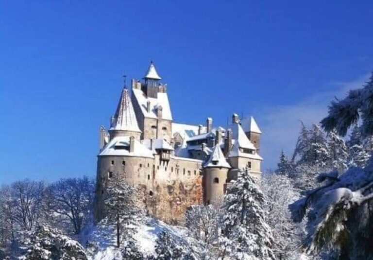 From Bucharest: 2-Day Tour to Brasov and Sighisoara - Why This Tour Excels