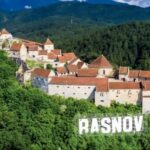 From Bucharest: Bears Sanctuary&Rasnov Fortress Private tour - Deep Dive into the Sites