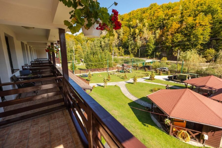 From Bucharest: Brdetu 4x4 Tour with Lunch, Hotel Pick-Up - The Sum Up