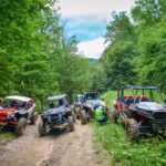 From Bucharest: BUGGY Quad Tour in the Carpathian Mountains - What You Can Expect