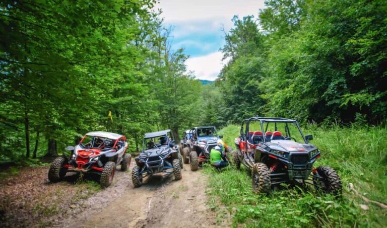 From Bucharest: BUGGY Quad Tour in the Carpathian Mountains - What You Can Expect