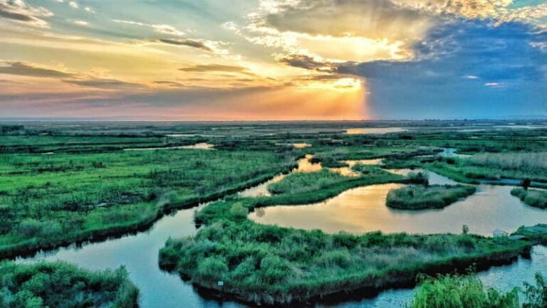 From Bucharest: Danube Delta Private Day Trip with Boat Tour - Practical Details & What Makes It Worthwhile