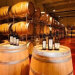 From Bucharest: Exclusive Wine Tasting Tour in Dealu Mare - Value and Who It’s Best For