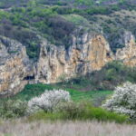 From Bucharest: Experience Bulgaria Small-Group Trip - What Makes This Tour a Great Choice?