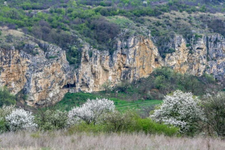 From Bucharest: Experience Bulgaria Small-Group Trip - What Makes This Tour a Great Choice?