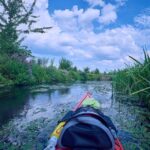 From Bucharest: Neajlov River Kayaking Adventure - What’s Included & What to Keep in Mind