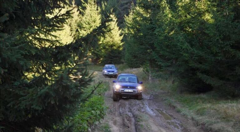 From Bucharest: Off-Road in the Carpathian Mountains - Analyzing the Value & Practicalities