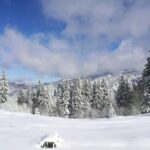 From Bucharest: Snowmobile Tour in the Carpathian Mountains - Why This Tour Offers Great Value