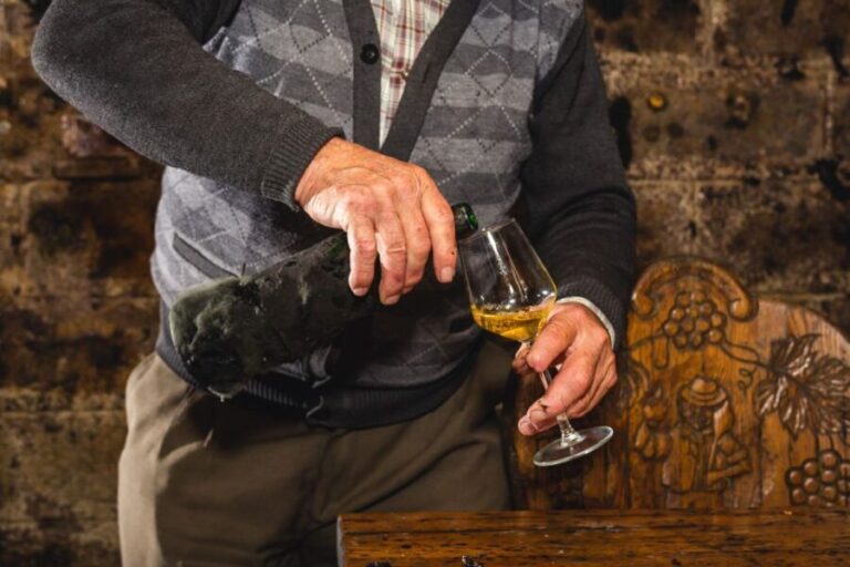 From Budapest: Mátra Hills Wine Tour - Practical Details: How the Tour Works