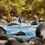 From Budva: Full-Day Tara River Rafting Trip With Lunch - What’s the Real Value?