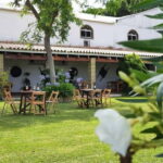 From Cádiz: Chiclana de la Frontera Winery Tour with Lunch - What Travelers Should Know