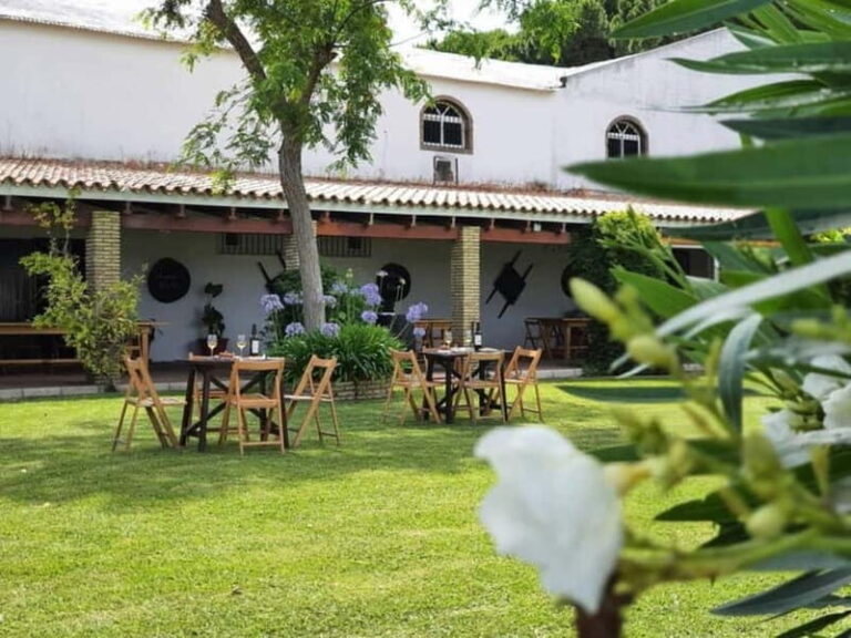 From Cádiz: Chiclana de la Frontera Winery Tour with Lunch - What Travelers Should Know