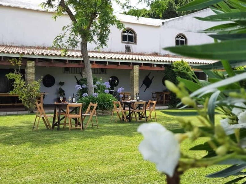 From Cádiz: Chiclana de la Frontera Winery Tour with Lunch - What Travelers Should Know