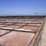 From Caleta de Fuste: Explore Rural Fuerteventura Tour - What’s Included and What to Expect