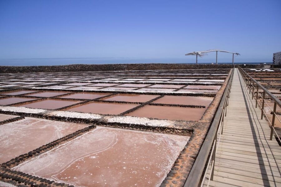 From Caleta de Fuste: Explore Rural Fuerteventura Tour - What’s Included and What to Expect