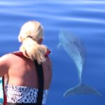 From Calheta: Whale and Dolphin Watching RIB Boat Tour - Who Should Consider This Tour?