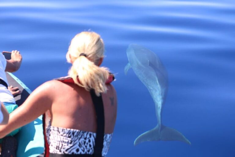 From Calheta: Whale and Dolphin Watching RIB Boat Tour - Who Should Consider This Tour?