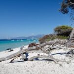 From Calvi: Agriate Guided Jeep Tour to Lotu and Saleccia - Authentic Experiences and Local Insights