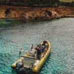 From Can Picafort: Dolphin Watching and Cave Boat Trip - What’s Included and What to Consider