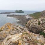 From Cardiff: Mumbles and Gower Peninsular Tour - Authentic Experiences and Feedback