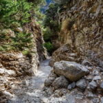 From Chania: Imbros Gorge and Sfakia Experience Hike & Swim - FAQ