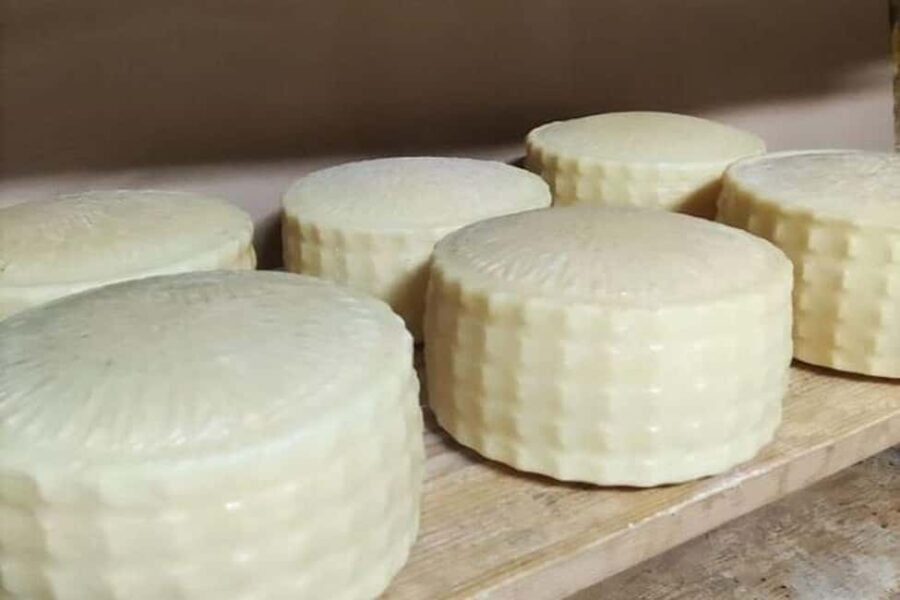 From Chania: Olive Oil, Wine, Cheese & Honey Tasting Tour - The Value of the Experience