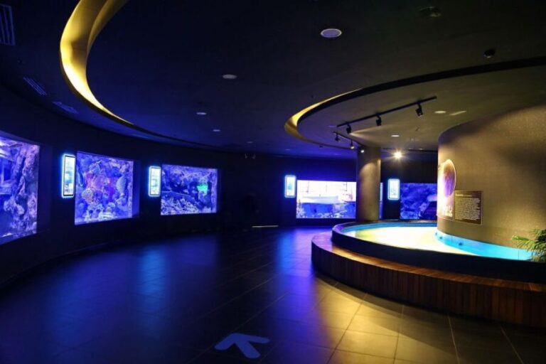 From city of Side: Antalya Aquarium Full-Day Trip - The Experience: Pros and Cons