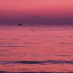 From city of Side: Dolphin Watching Boat Tour with Lunch - The Start: Easy Transfers and Comfort